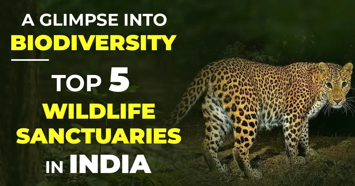 top 5 wildlife sanctuaries in India