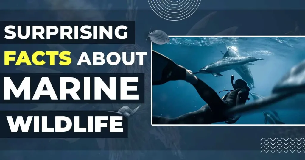 Facts About Marine Wildlife