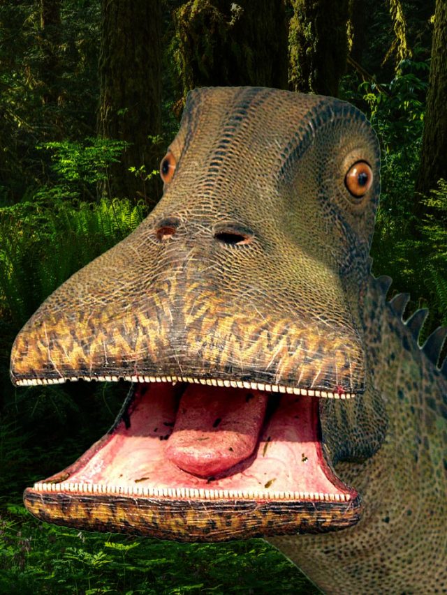 Dinosaur with 500 Teeth