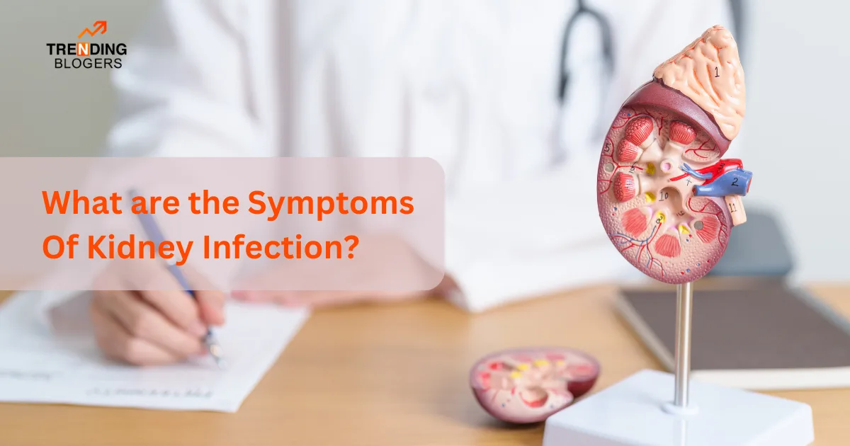 Symptoms Of Kidney Infection