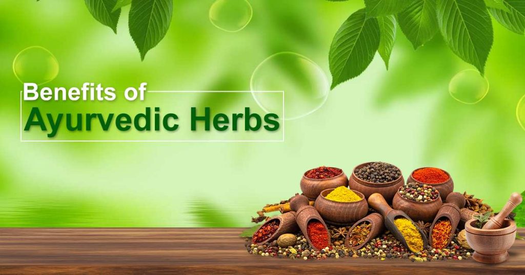 Benefits of ayurvedic herbs